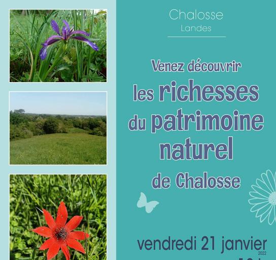 Les richesses du patrimoine naturel de Chalosse Les richesses du patrimoine naturel de Chalosse
